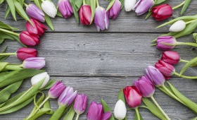 Вентиляция в теплице